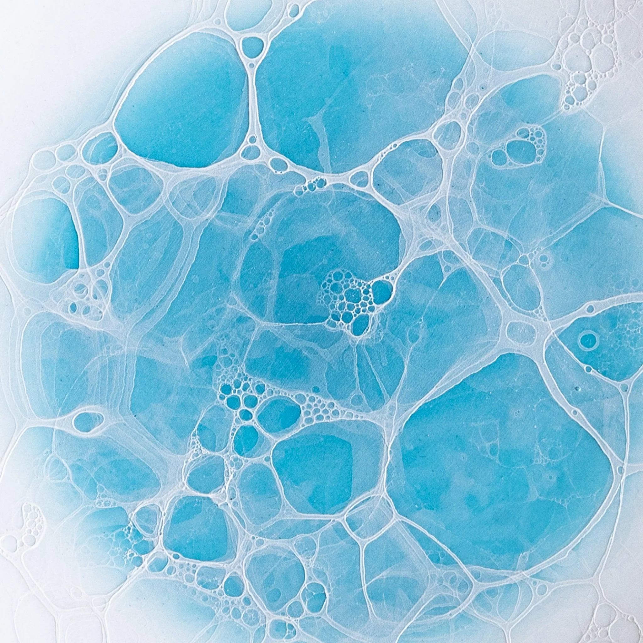 Bubble Dessert Plate - Image 7