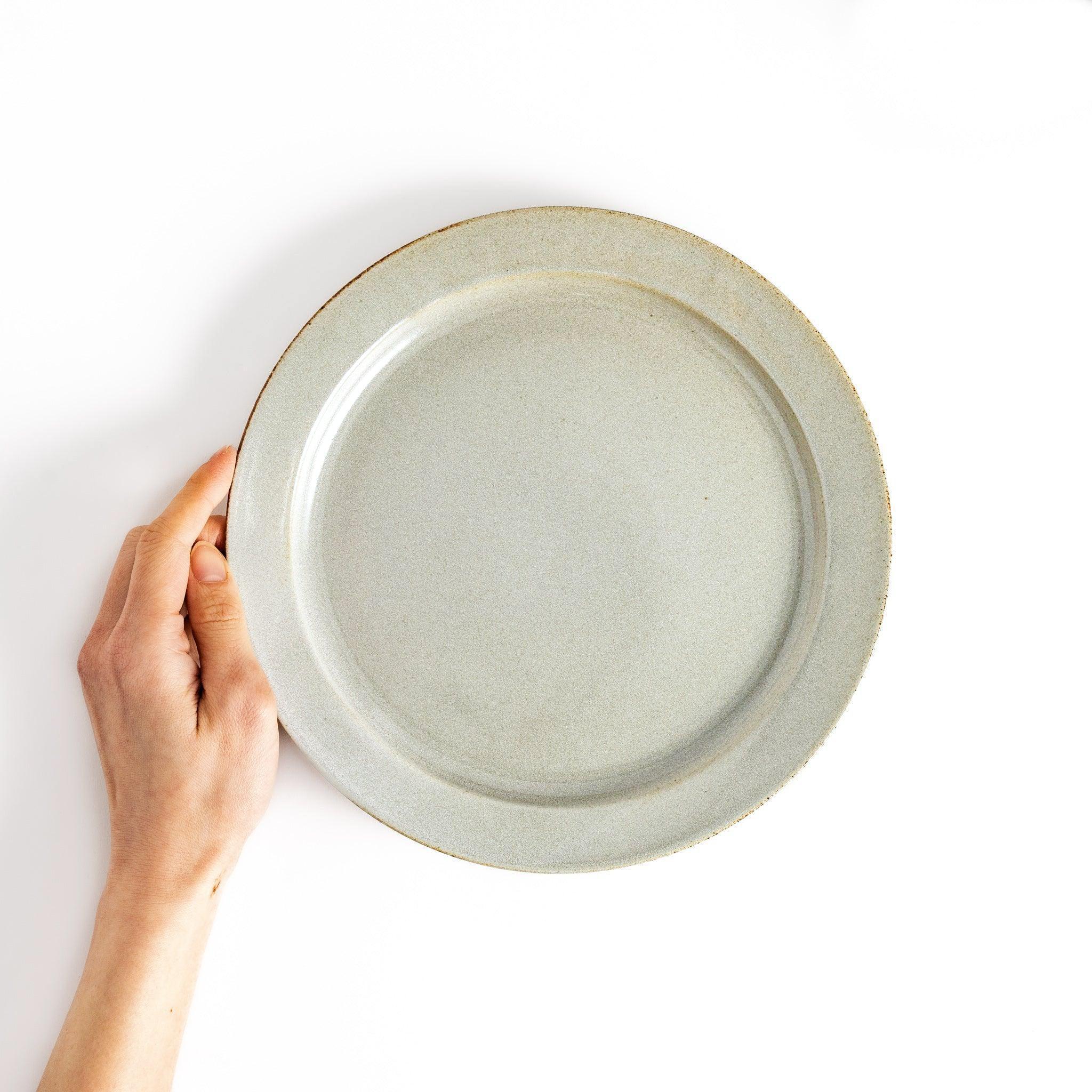 Color Harmony Dinner Plate - Image 15