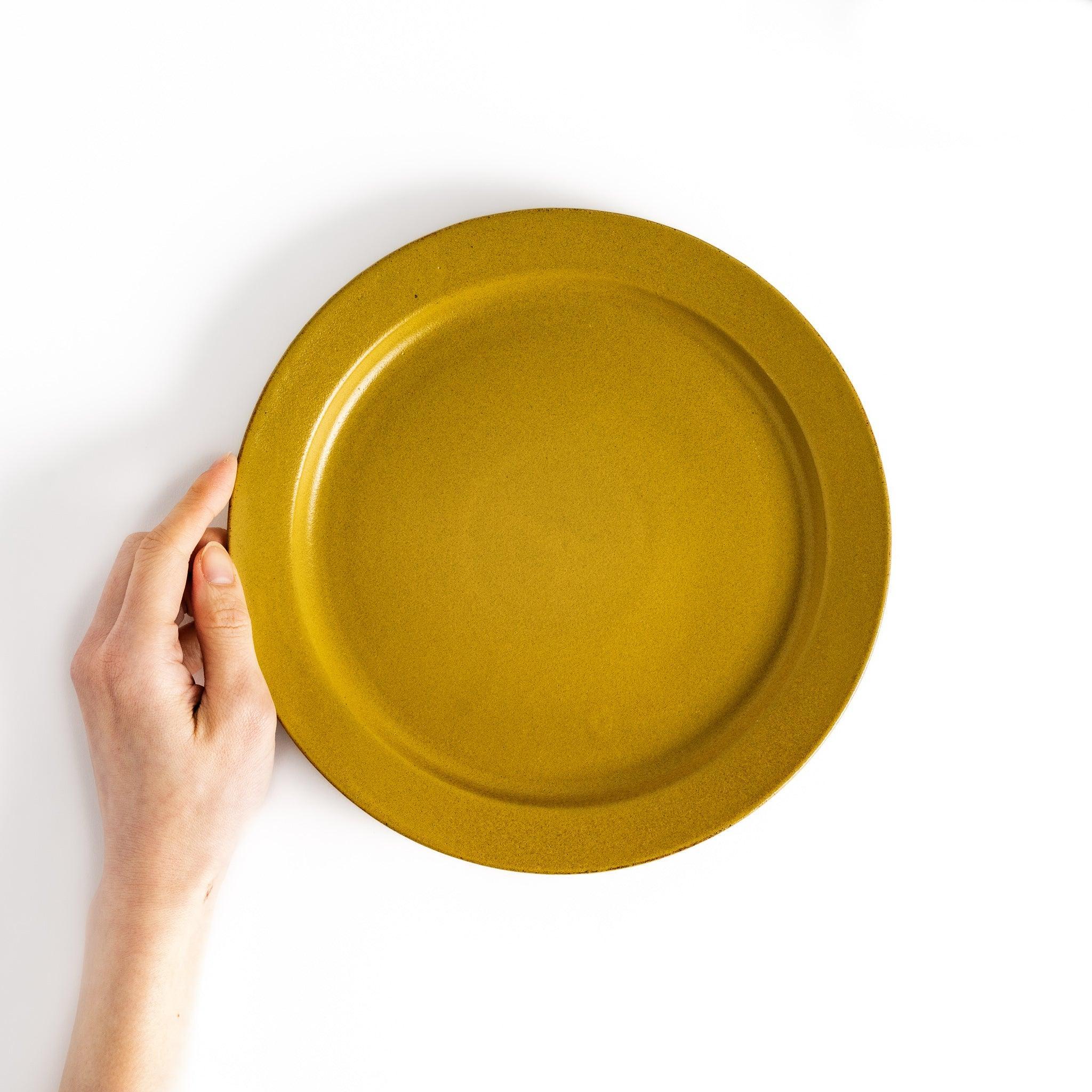 Color Harmony Dinner Plate - Image 41