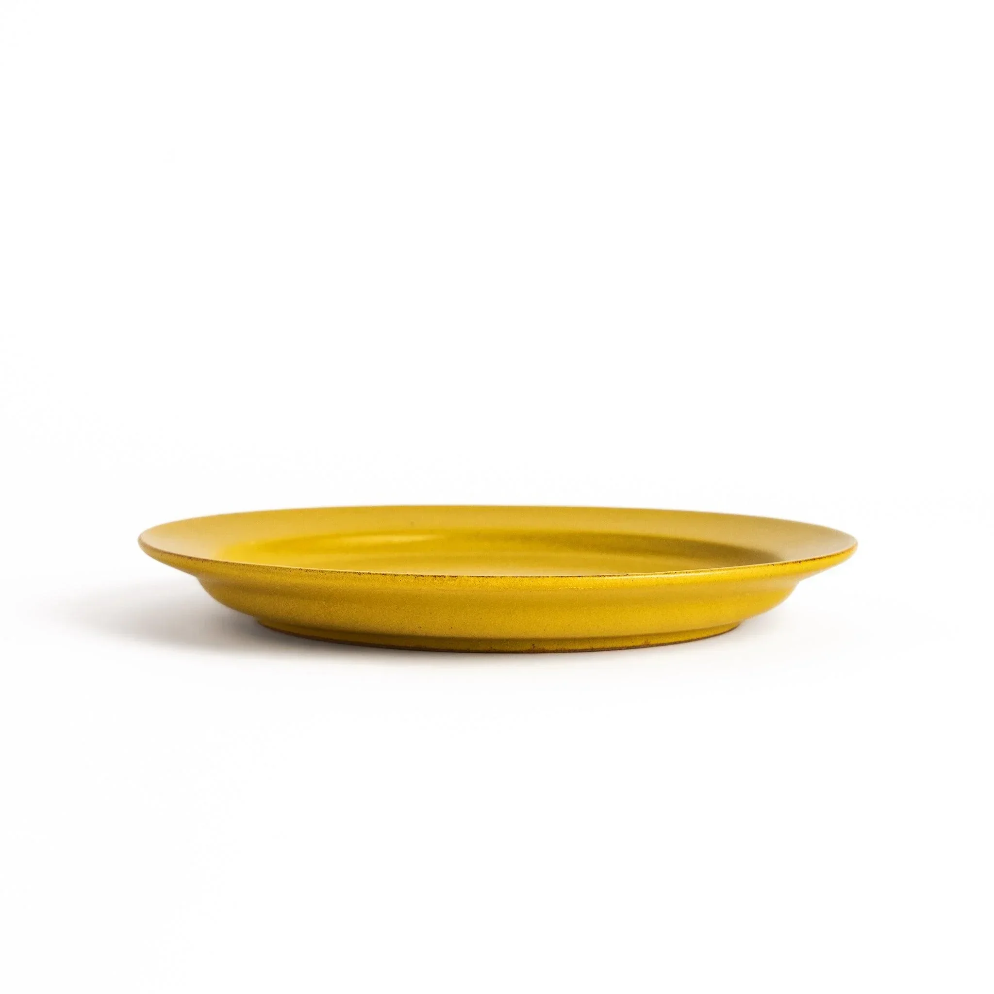Color Harmony Dinner Plate - Image 45