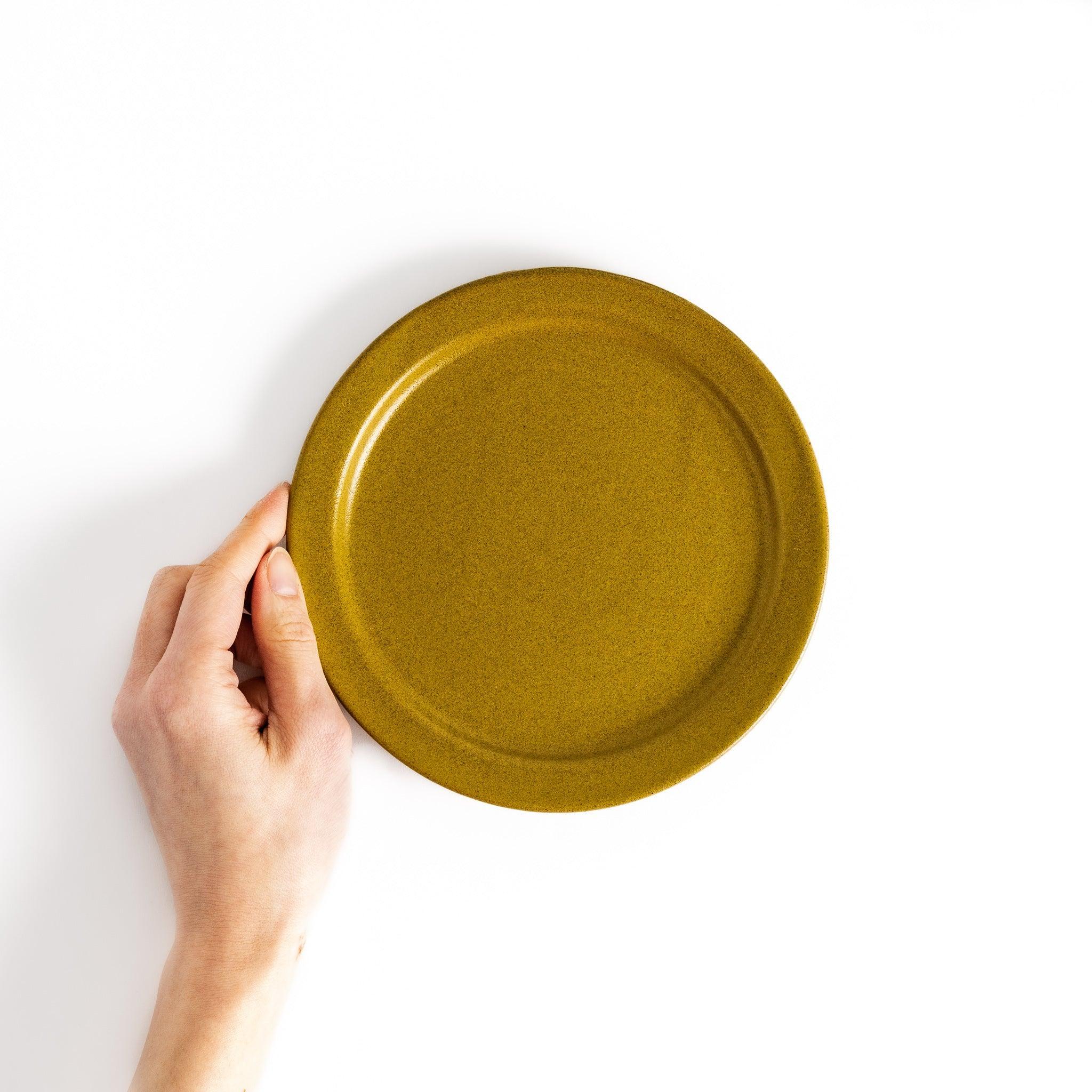 Color Harmony Salad Plate - Image 41
